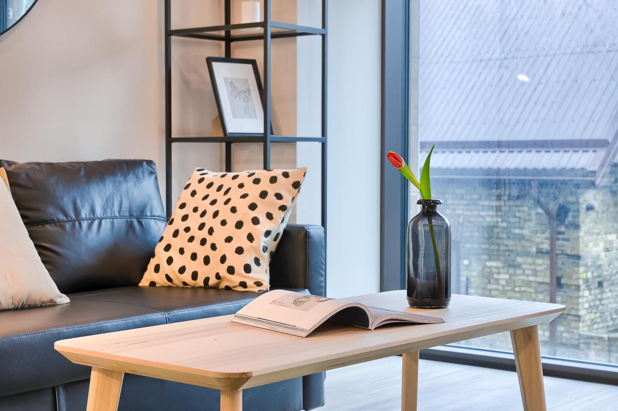 Business-Class Apartments 2 X Free Parking X Self Check In 24X7 VNO Esterno foto