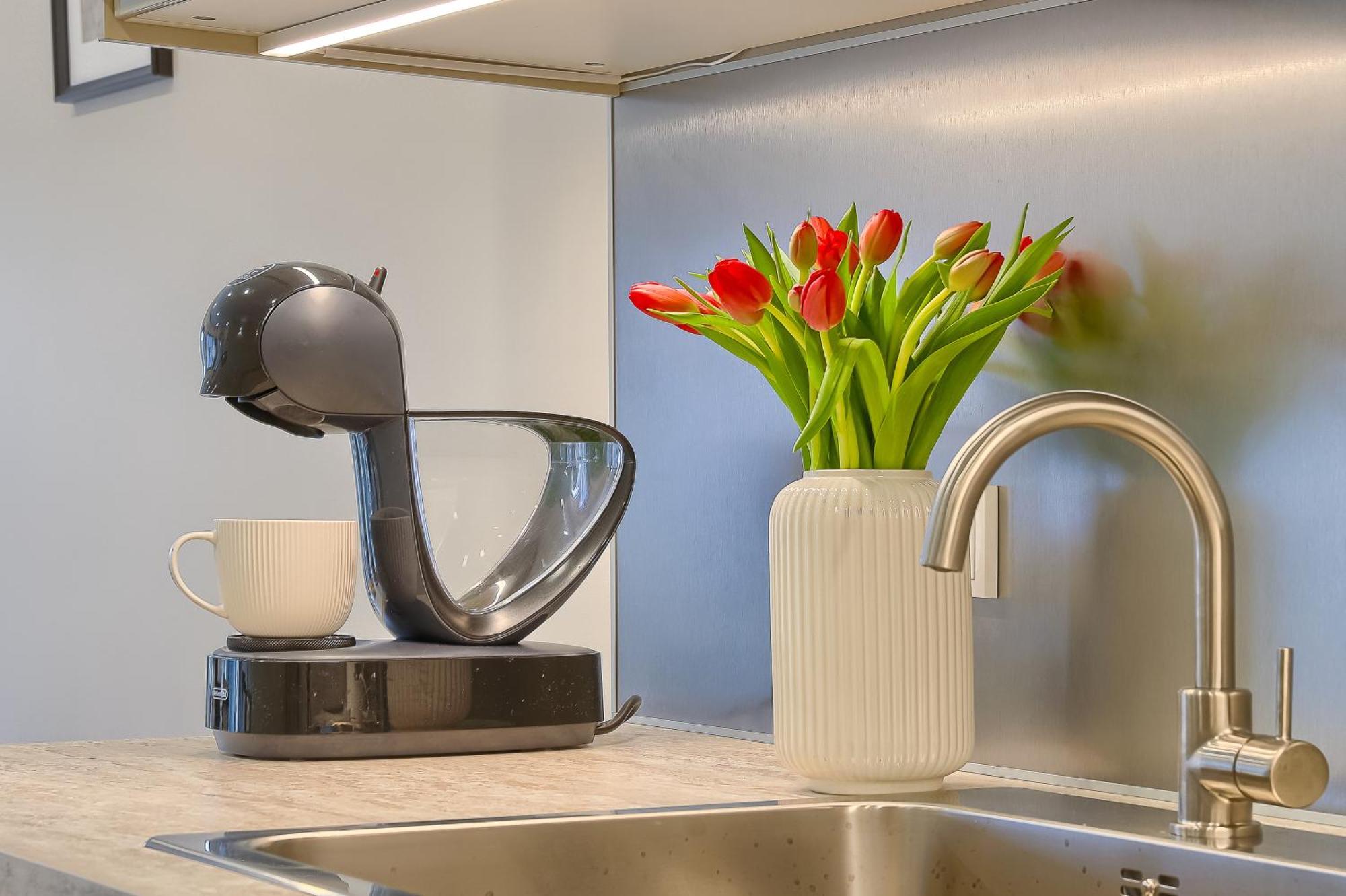 Business-Class Apartments 2 X Free Parking X Self Check In 24X7 VNO Esterno foto